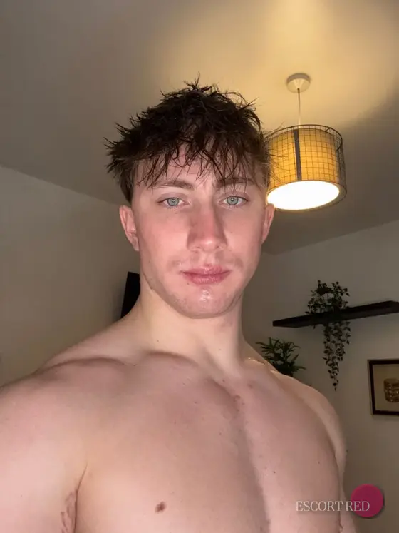 Benjamin, Russian male escort in Tokyo — photo 4