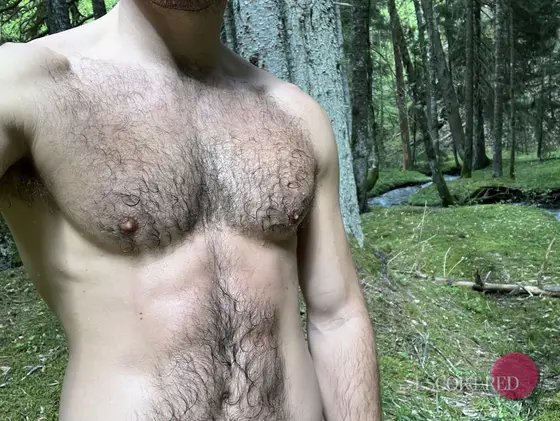 Lancelot, Chinese male escort in Hong Kong — photo 4