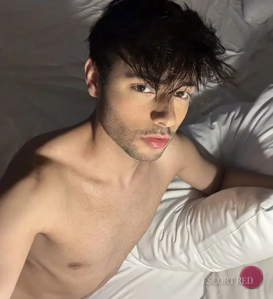 Lucas, British male escort in Tokyo