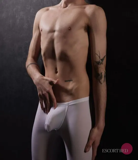 Noel, Russian male escort in Macau — photo 3